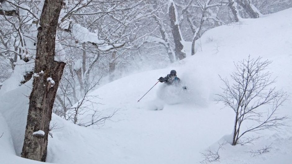 Backcountry Hakuba