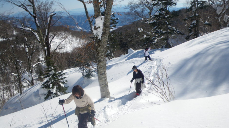 Backcountry in Hakuba